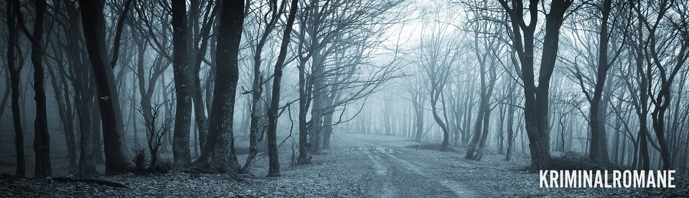 Das Webseiten-Banner des Thriller-Autors Erich Schreiner. Dargestellt wird ein herbstlicher Wald im Nebel mit einem Weg, der ins Nichts zu führen scheint.