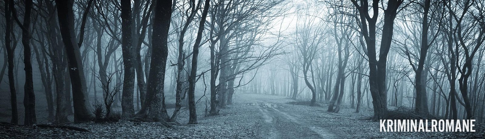 Kriminalromane von Thriller-Autor Erich Schreiner